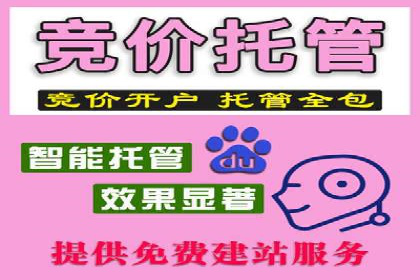 成功案例揭秘：百度推广代运营的五大优势
